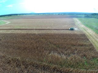 Property photo 38 - REAL ESTATE AUCTION - 1,000+/- ACRES OFFERED IN 10 TRACTS IN PITTSBURG CO., OKLAHOMA